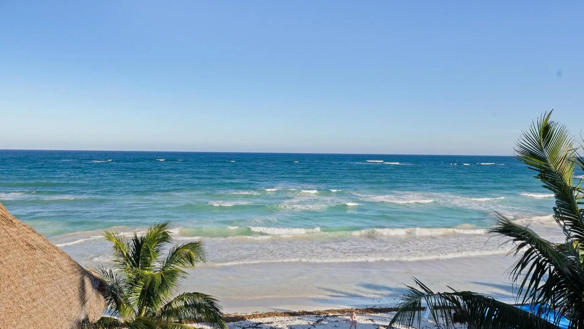 Playa Canek Beachfront Eco Hotel Tulum México